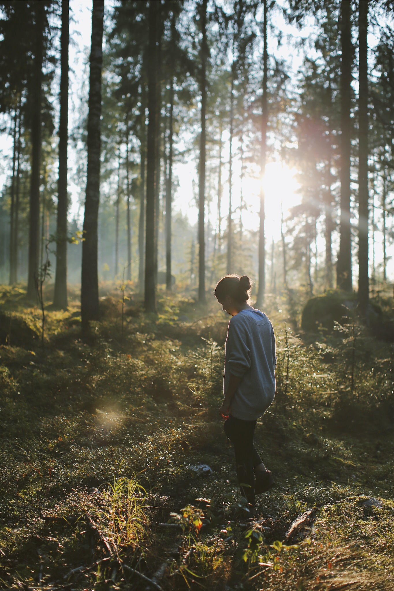 Forest Walk — Photography, Finland